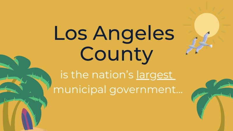 LA County Budget