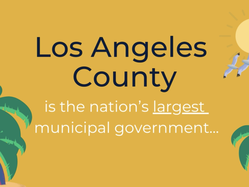 LA County Budget