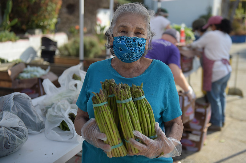 A senior shops for groceries at a farmer's market.