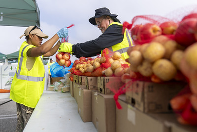 Two workers wearing safety vests and gloves distribute bags of potatoes and onions from a table at an outdoor food distribution event.
