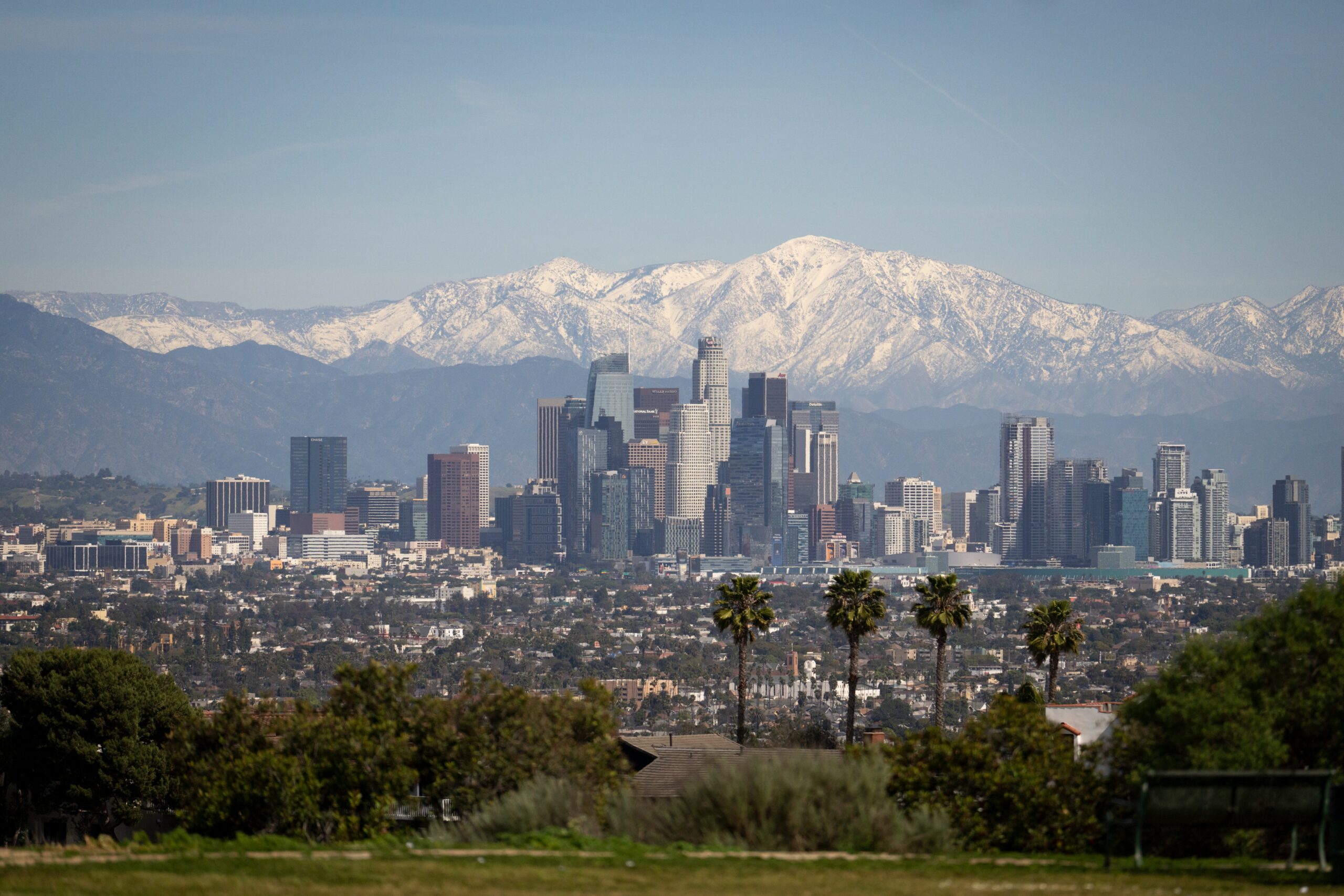 Wide view of a downtown city skyline with tall skyscrapers set against snow-covered mountains in the background. Palm trees and residential neighborhoods fill the foreground under a clear blue sky